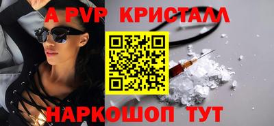 СК Новодвинск