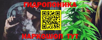 СК Новодвинск