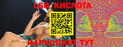 дмт Новокубанск