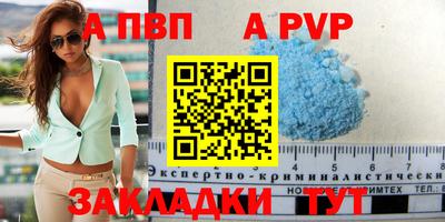 СК Новодвинск