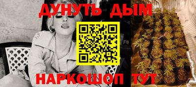 СК Новодвинск