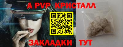 СК Новодвинск