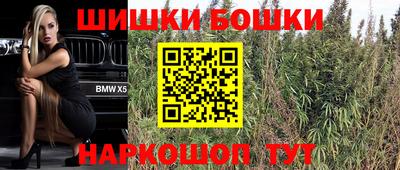 СК Новодвинск