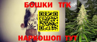 дмт Новокубанск