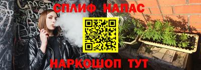 дмт Новокубанск