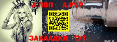 СК Новодвинск