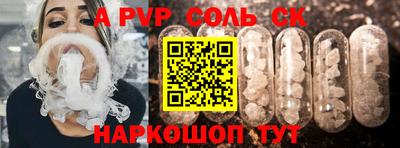 СК Новодвинск