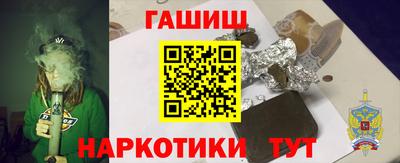 СК Новодвинск