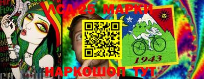 СК Новодвинск