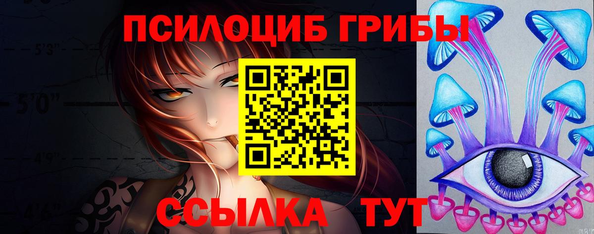 Сосновый Бор  Псилоцибиновые грибы MAGIC MUSHROOMS  Галлюциногенные грибы GOLDEN TEACHER  Вход с VPN 